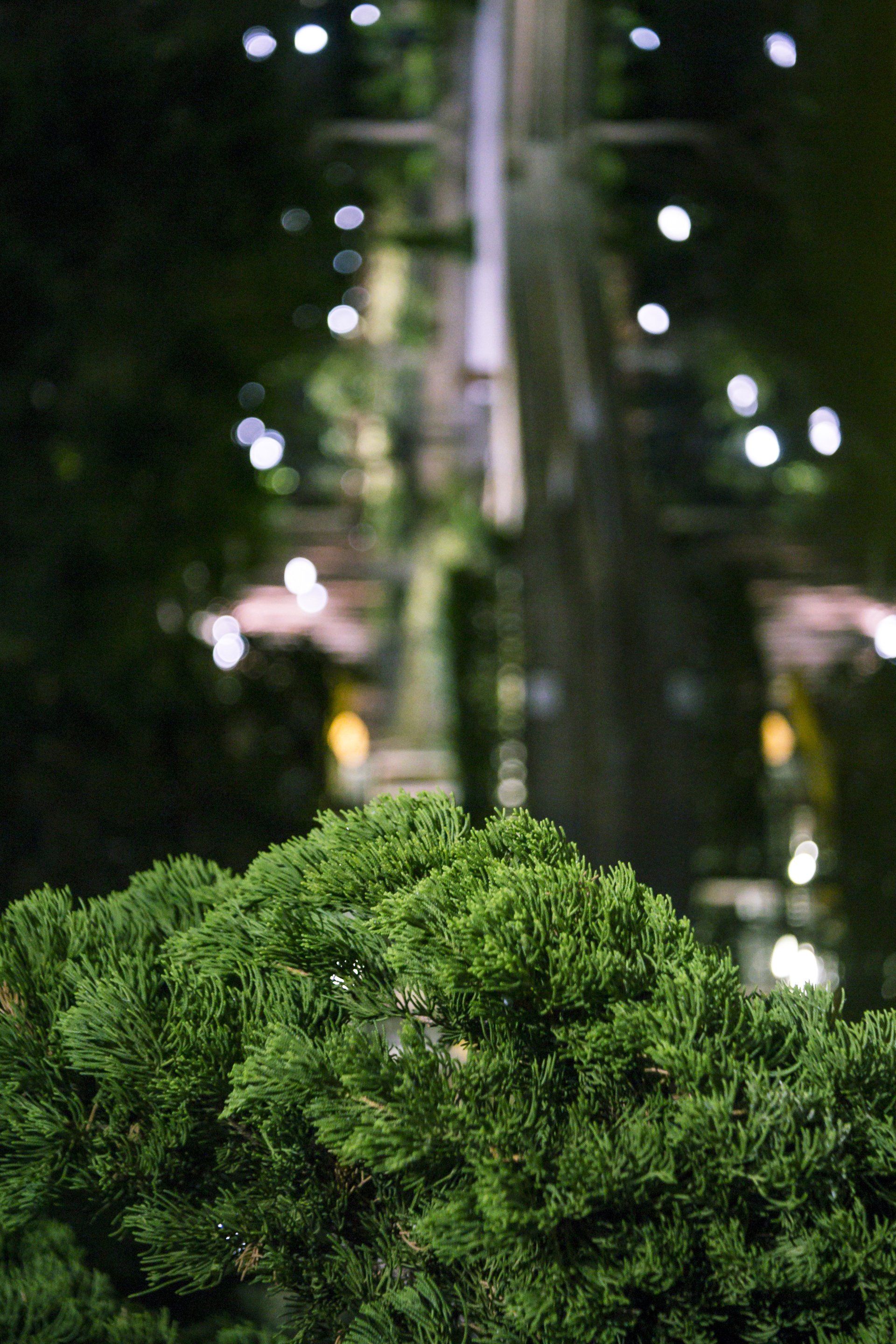 Round Rock outdoor lighting professionals