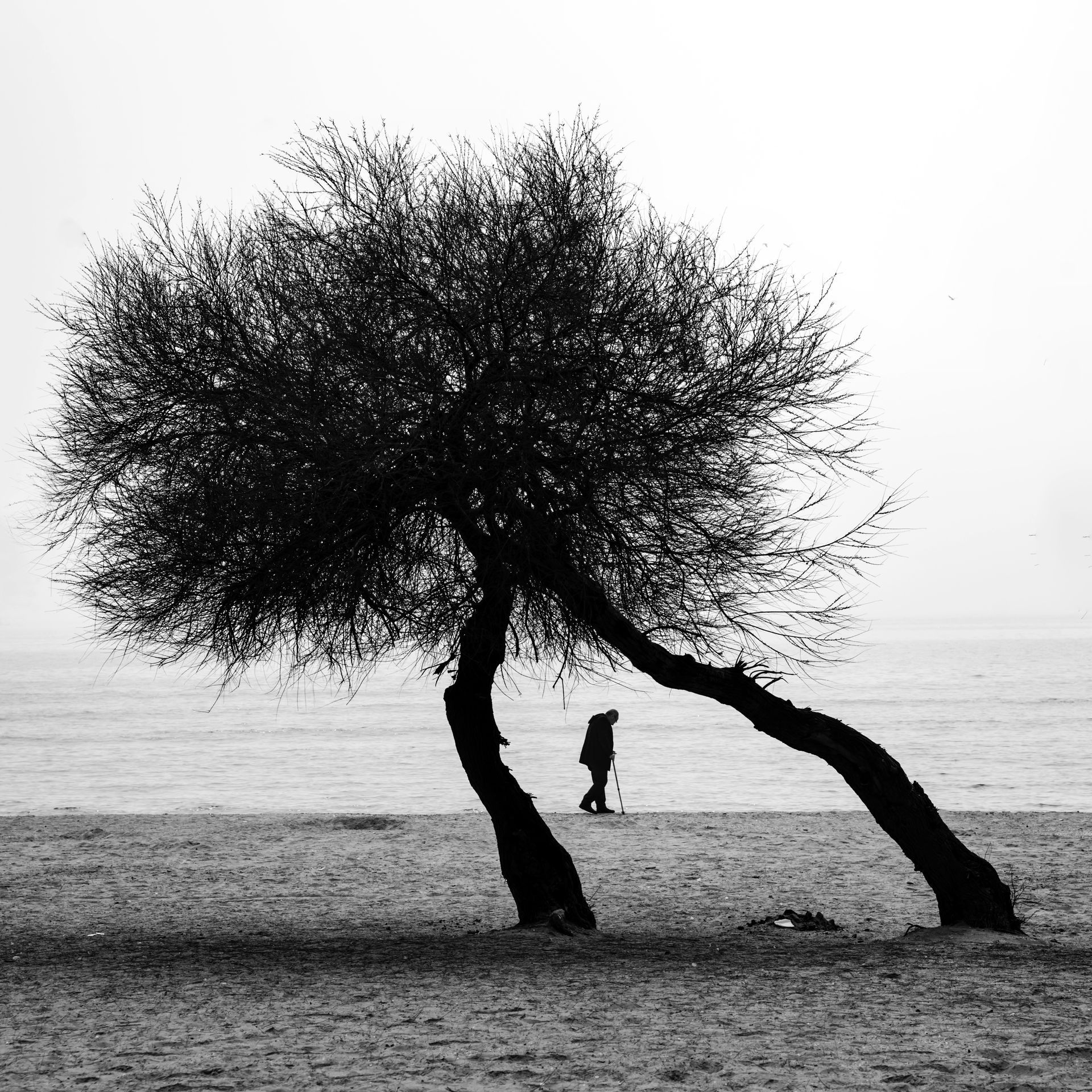 How To Break The Toxic Habit Of People Pleasing how-to-break-the-toxic-habit-of-people-pleasing