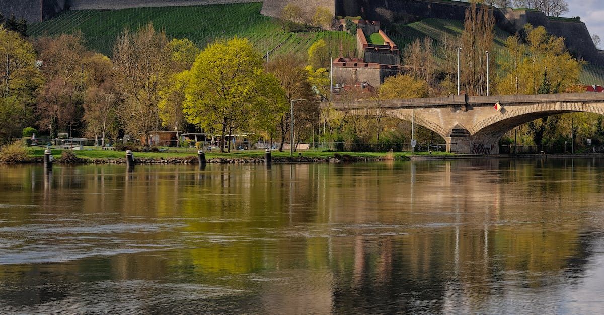 englisch camp Mannheim