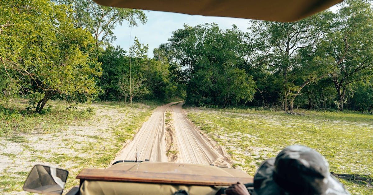 hoedspruit wildlife estate game drive experience