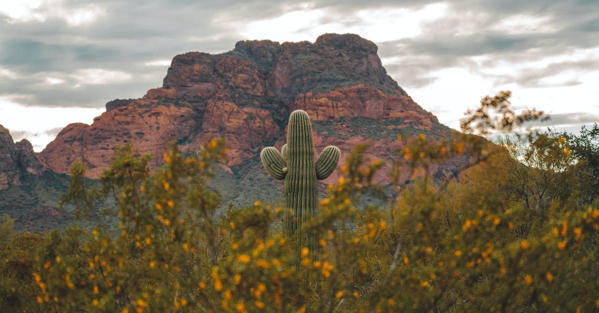 Laundry service in Phoenix, Arizona