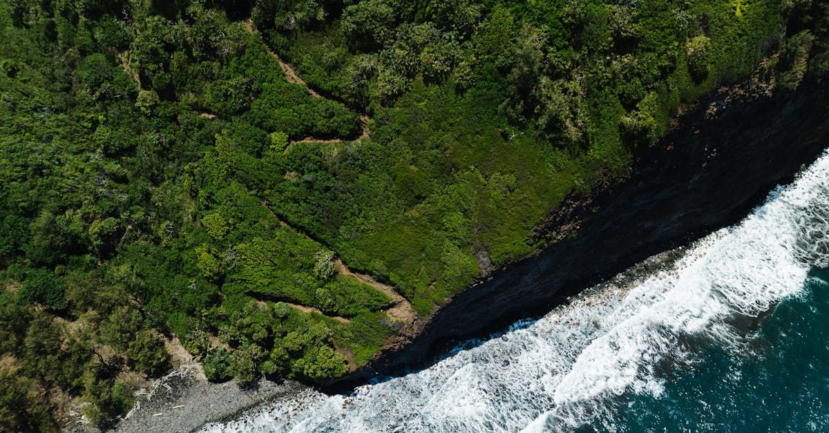 An aerial view of a cliff overlooking a body of water surrounded by trees.