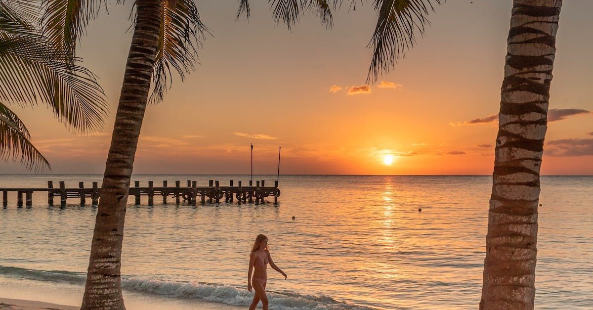 A woman is walking on the beach at sunset.