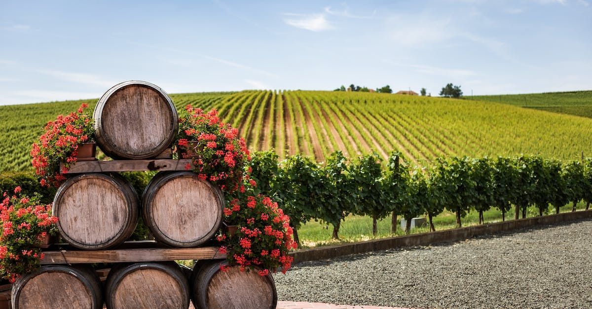 Une pile de tonneaux en bois posés devant un vignoble.