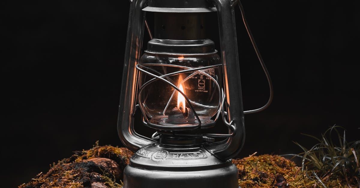 A lantern is sitting on top of a pile of moss.