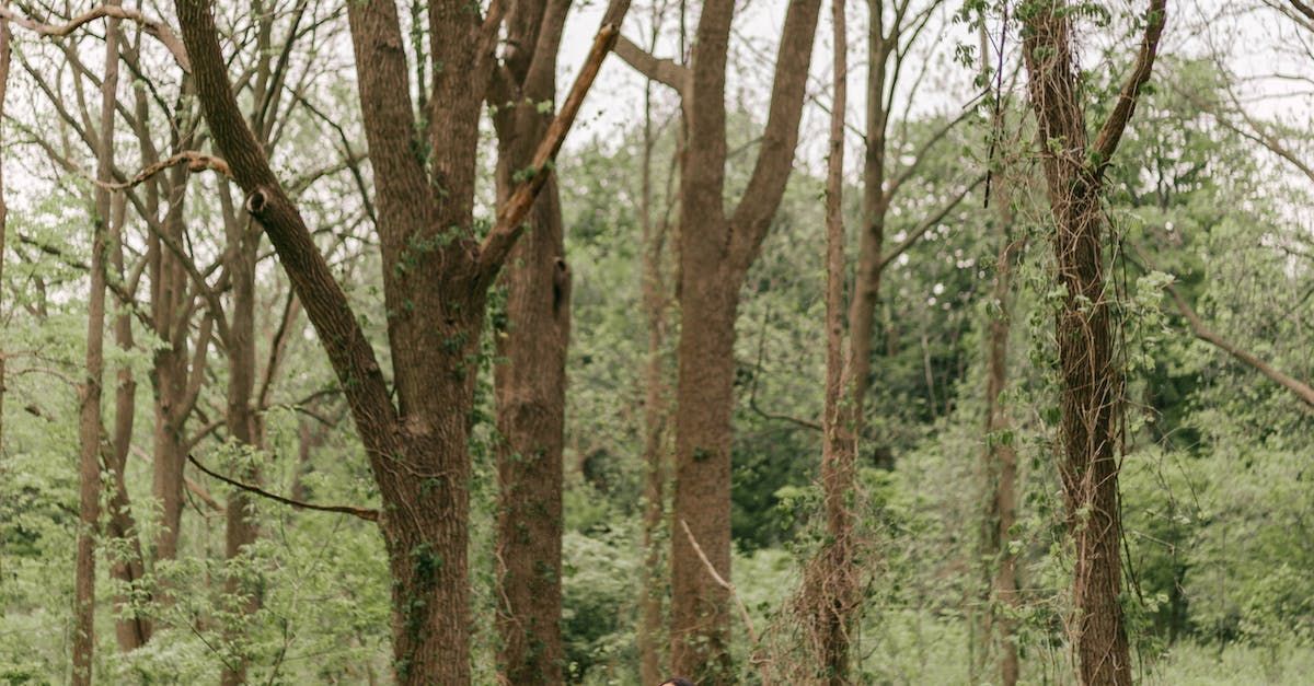 Bush hogging large area in Nashville
