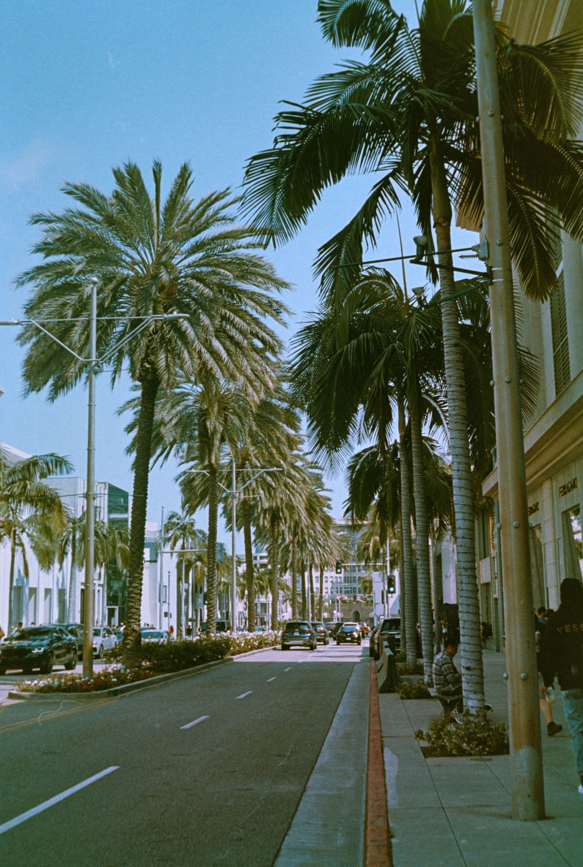 Rodeo Drive