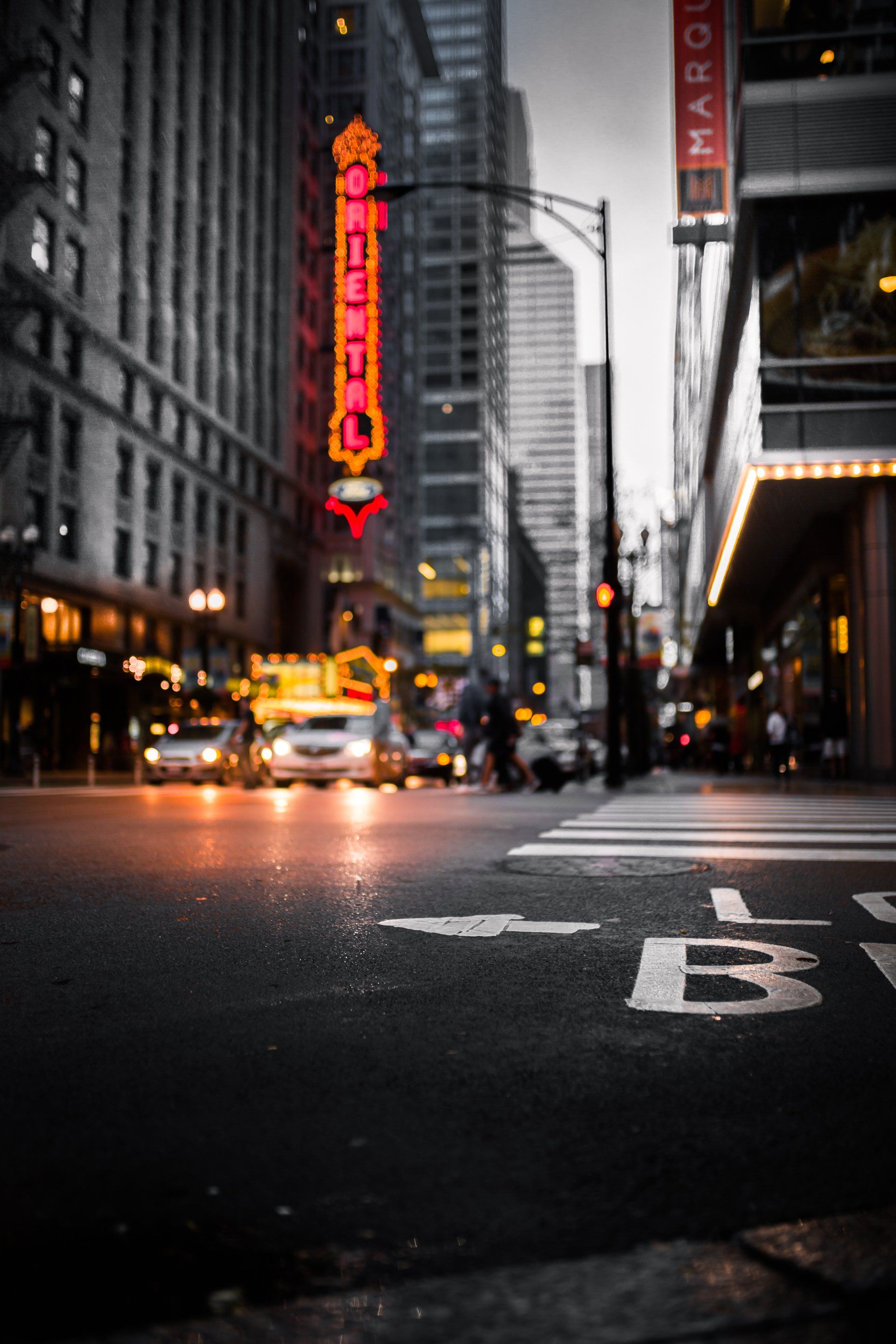 Street scene in Chicago at dusk with neon sign; wet road, vehicles, and buildings.