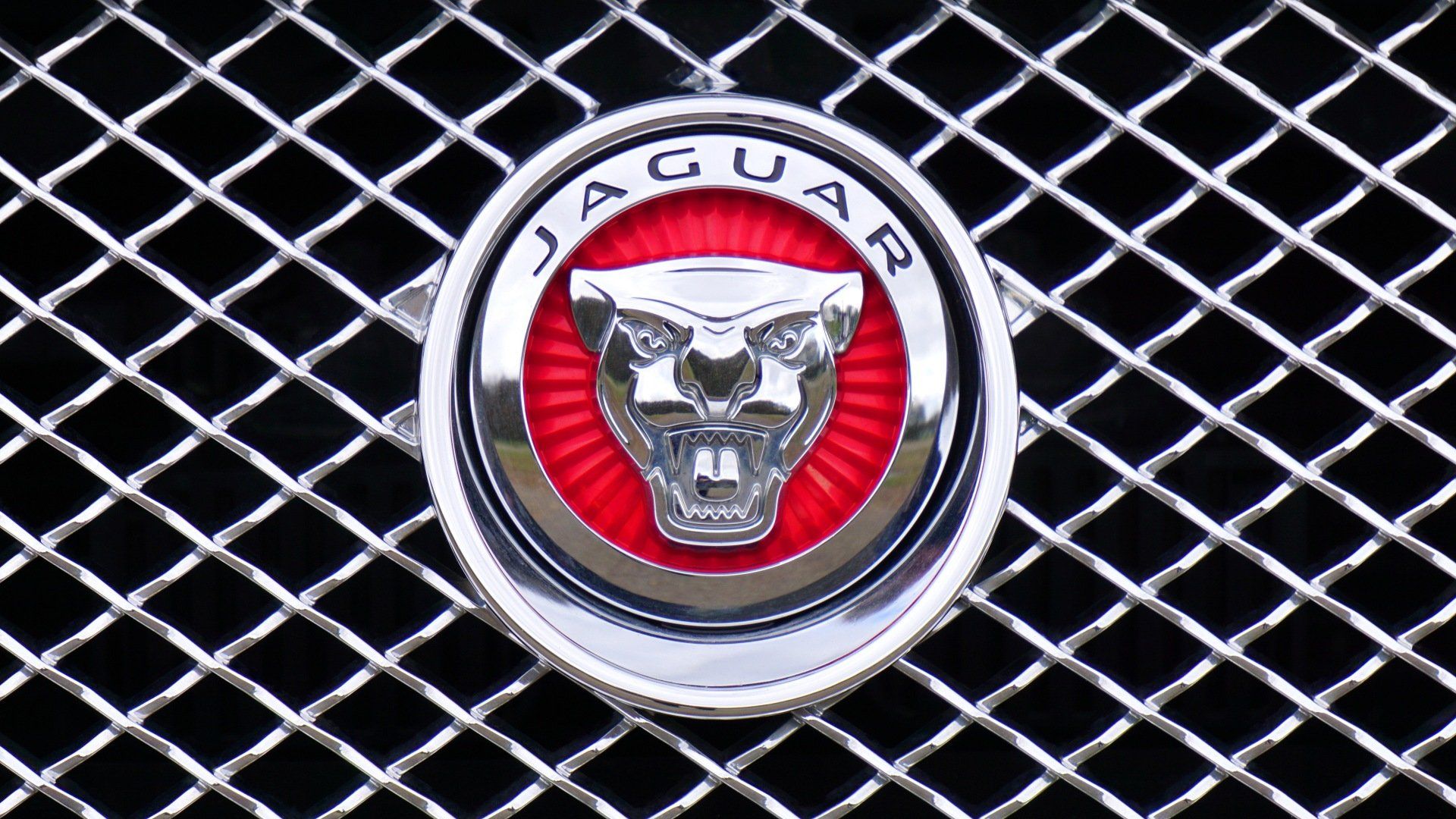 A close up of a jaguar logo on the front of a car