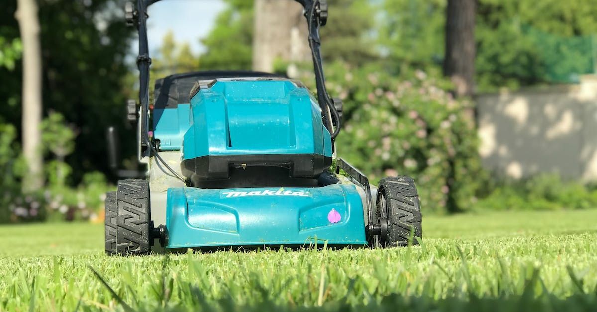 Image of a lawn mower