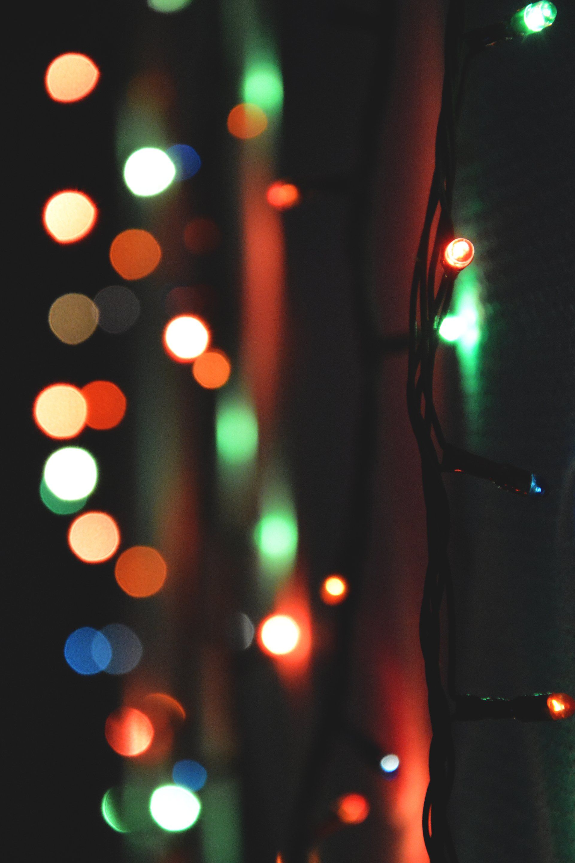 close up of holiday lights light hanging Love is Blinds