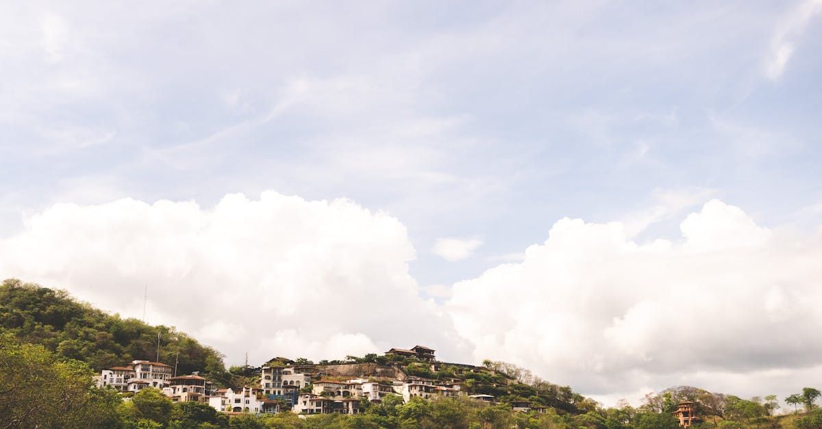 Houses nestled on a tree-covered hillside under a partly cloudy sky.