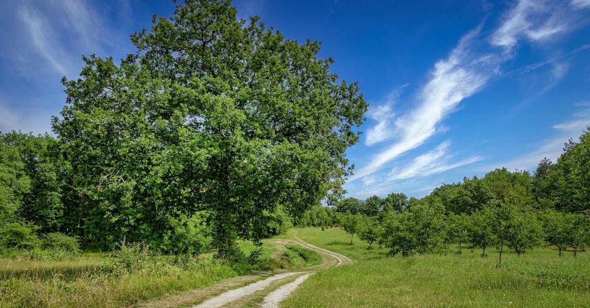 green spaces at work