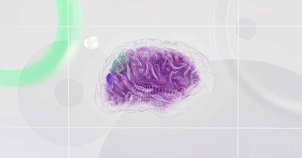 Un primo piano di un cervello viola su sfondo bianco.