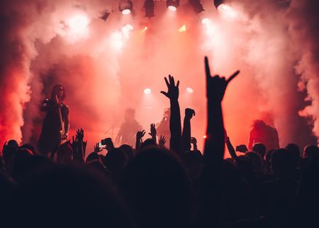 A crowd of people at a concert with their hands in the air.