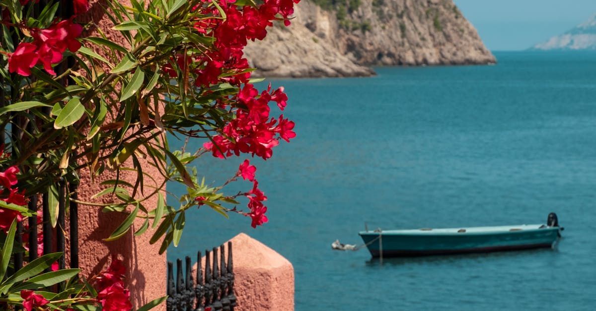 Greek Island sea view accommodation.