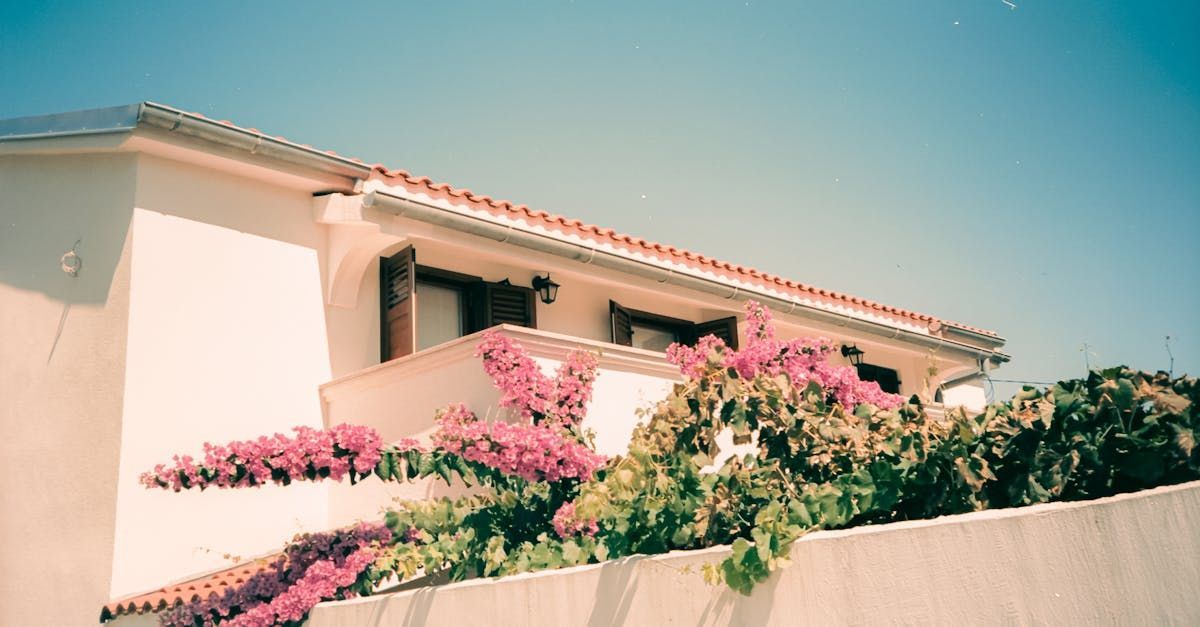 Una casa blanca con flores rosas en el costado.