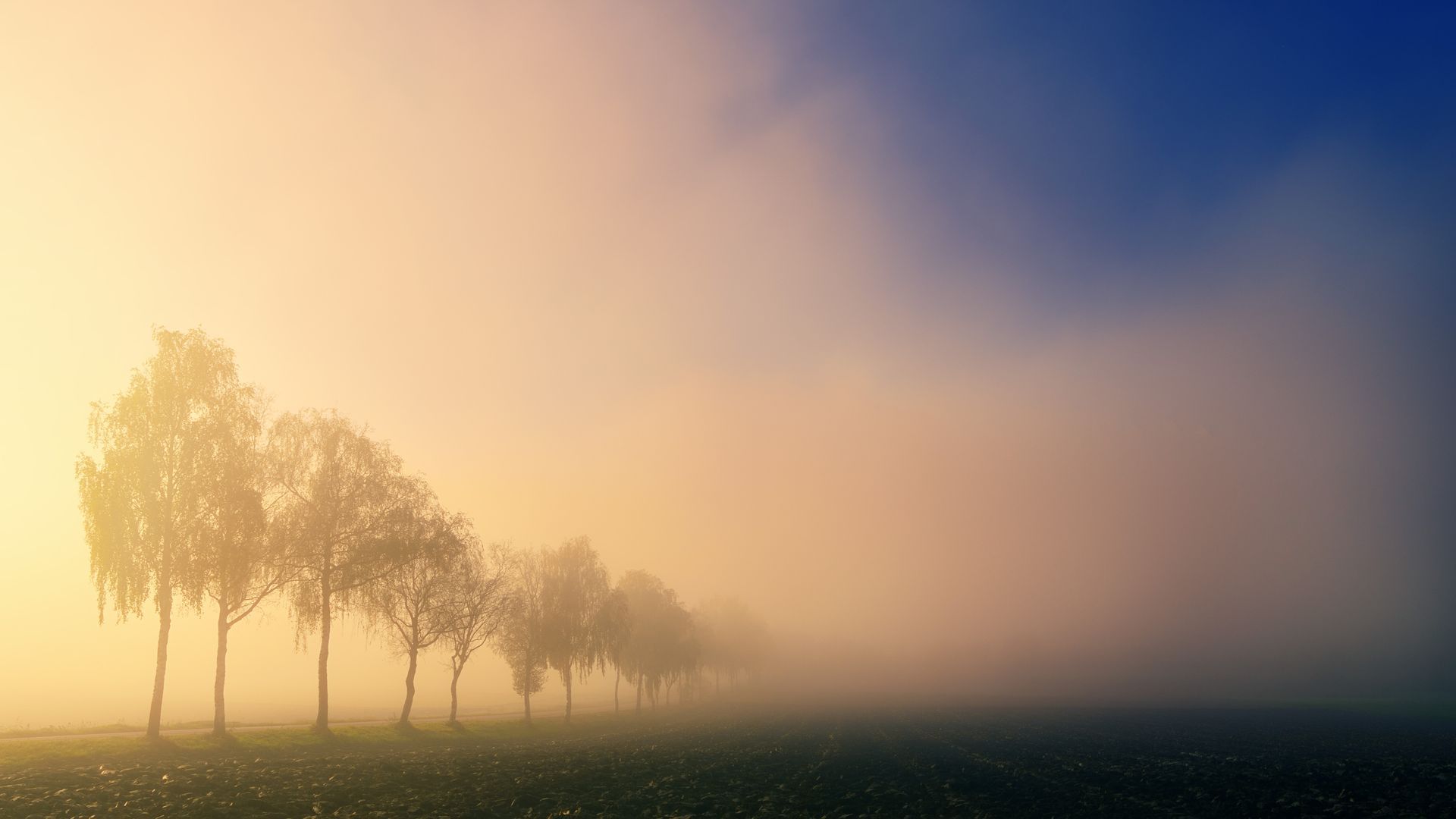 a haze caused by high humidity that an HVAC system needs to keep up with