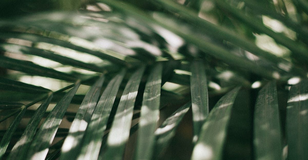 Lake Breeze Motel Taupo - garden & BBQ