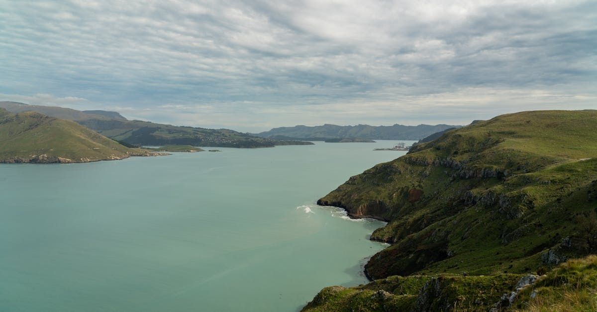 A boat with red sails is in the water with a city in the background