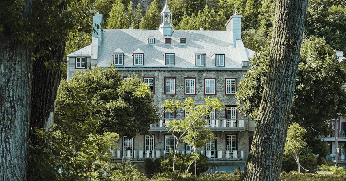 A large house is surrounded by trees in the middle of a forest.