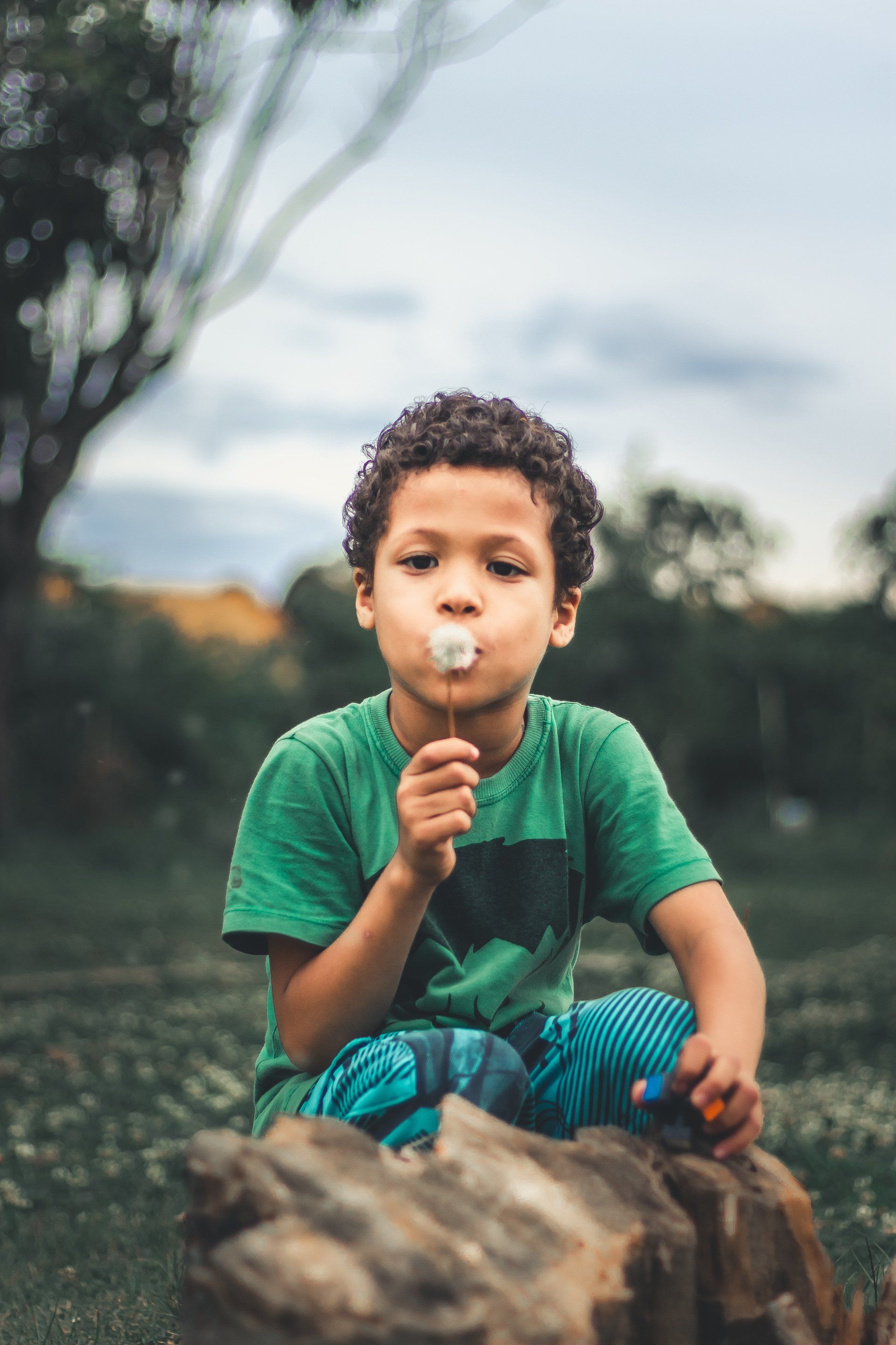 A young boy is sitting on a log blowing a dandelion.