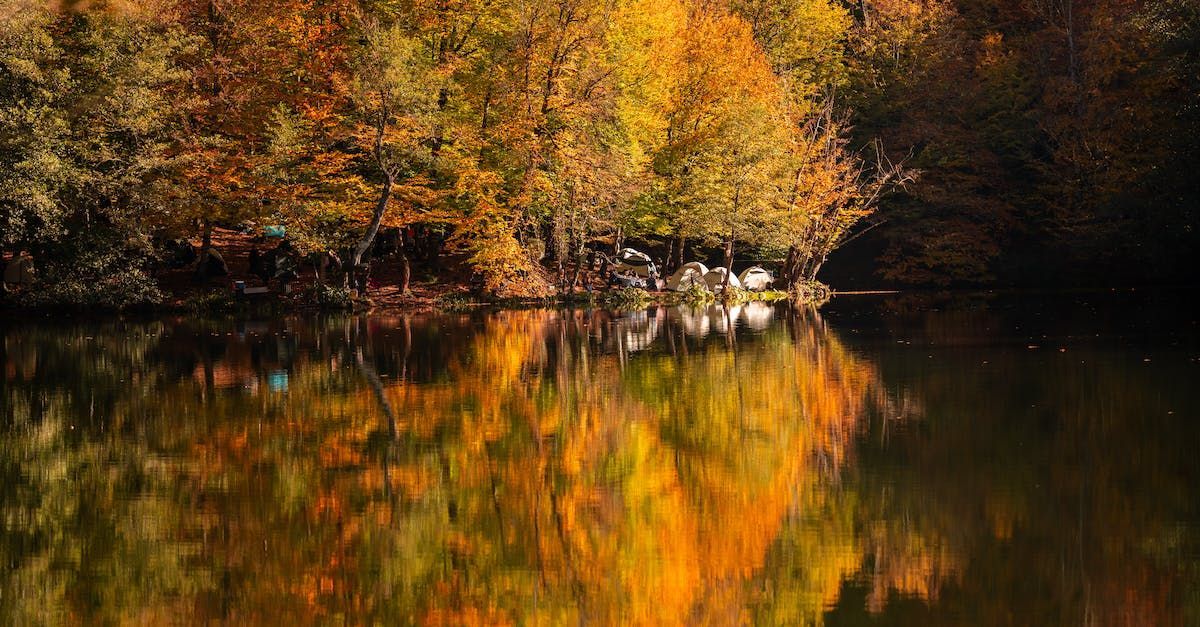 Trees with autumnal colours being reflected in a lake