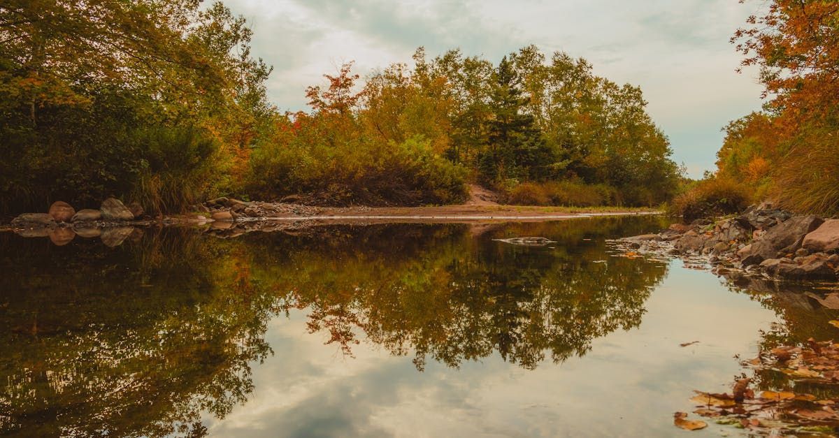 Canstudies - Estude e trabalhe em Halifax, no Canadá