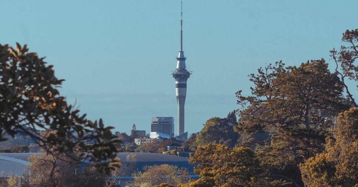 Cityscape of Auckland representing the Unitary Plan