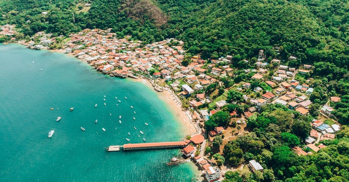 Un hombre y una mujer caminan por una playa con palmeras.