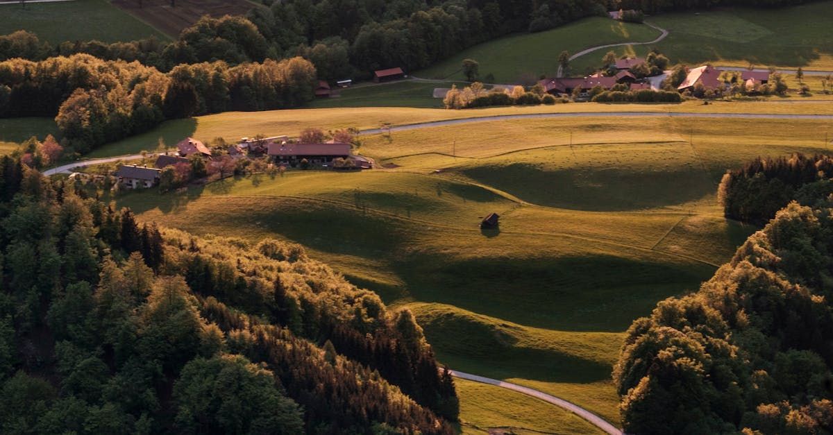 An aerial view of a lush green field surrounded by trees.