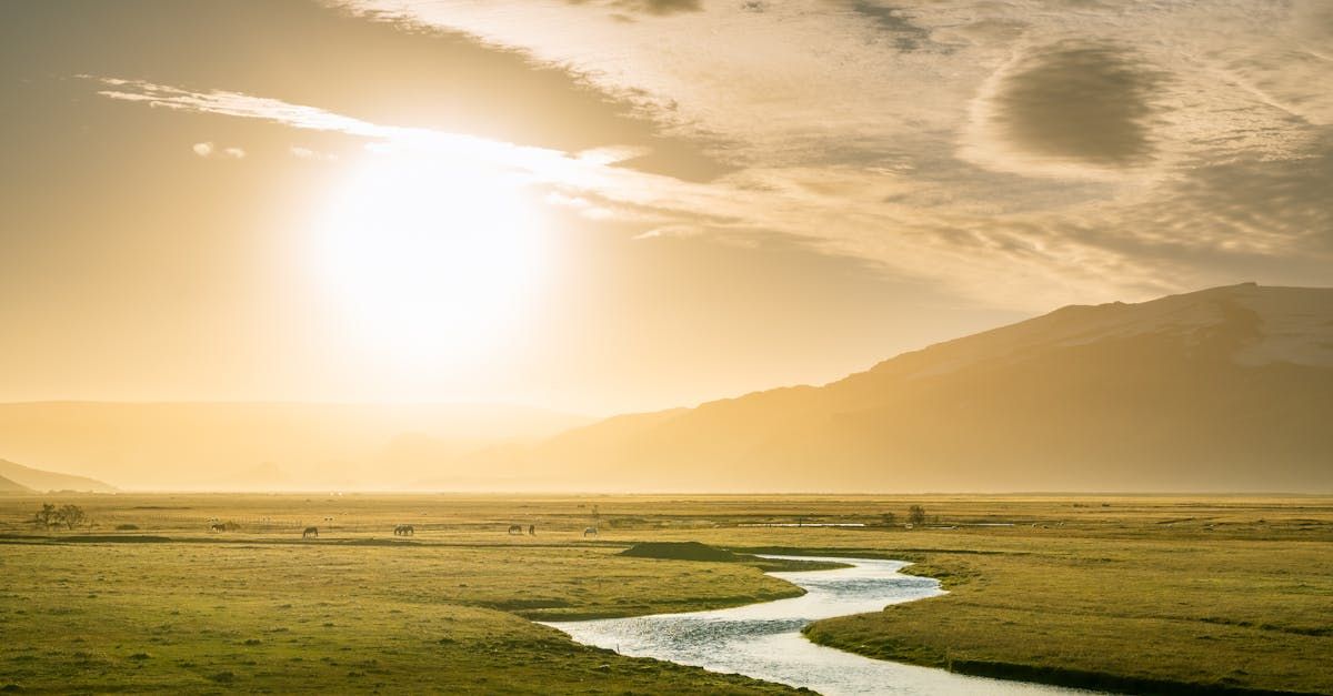 A river running through a grassy field with mountains in the background at sunset.