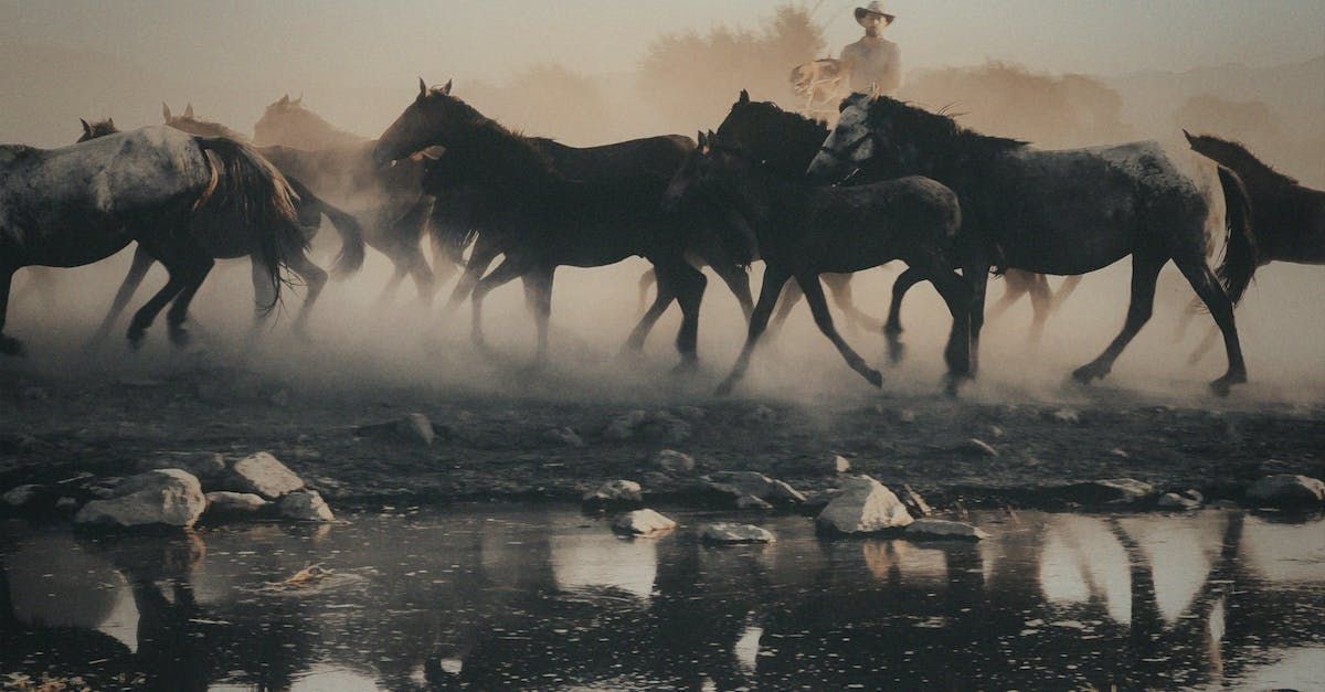 A herd of horses are running across a dirt field.