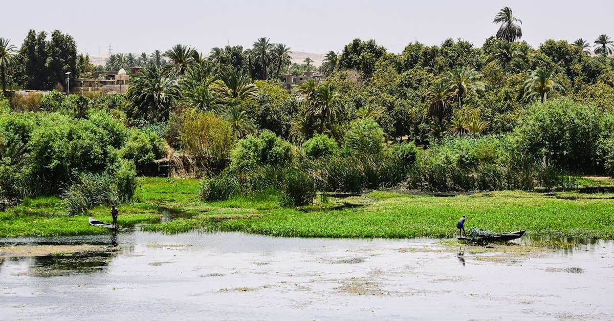 A man in a boat is floating on a lake surrounded by trees.