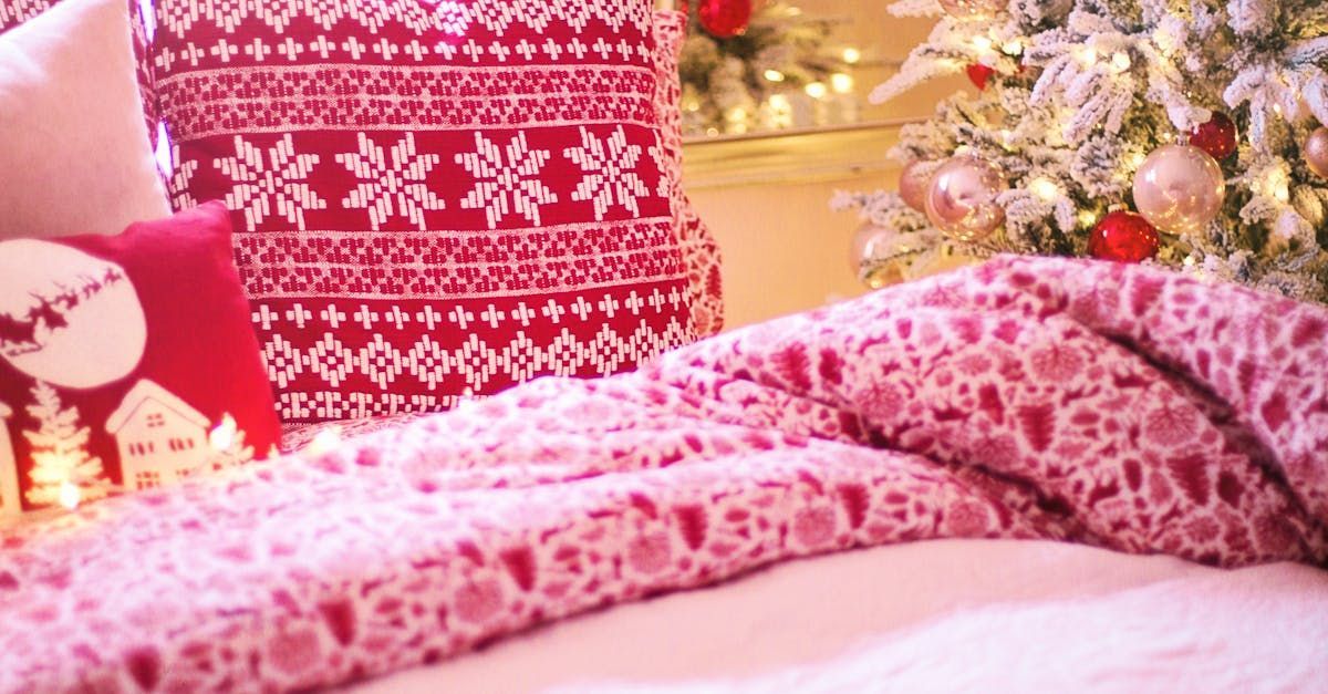 bed bug treatments and inspection