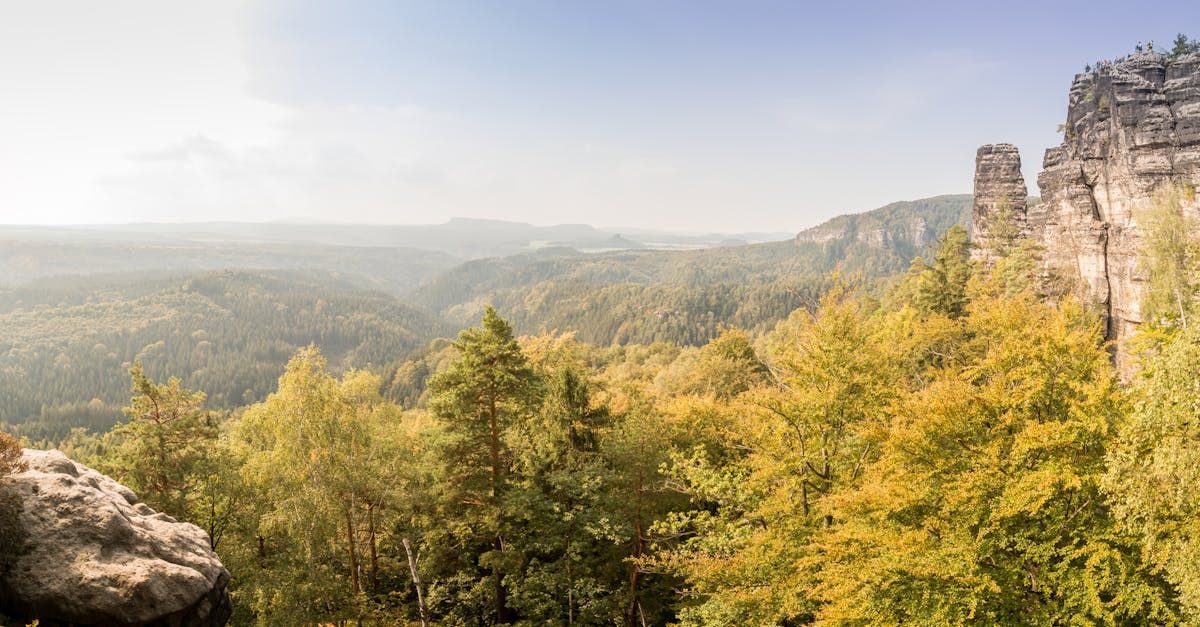 autumn trees on mountain side