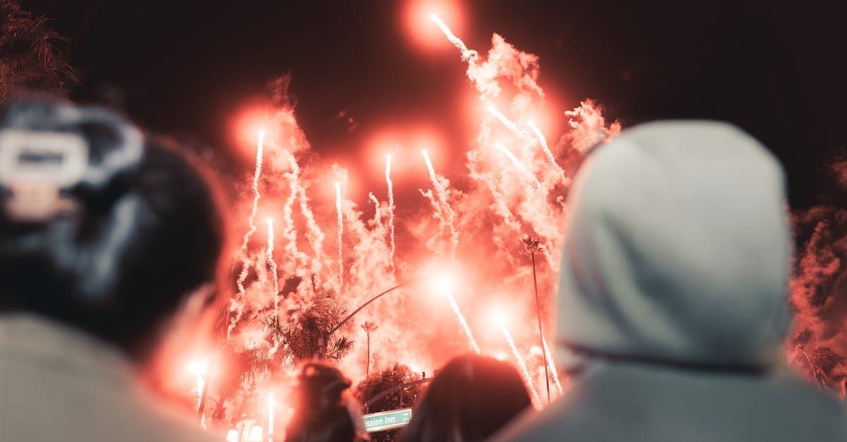 Look into the future