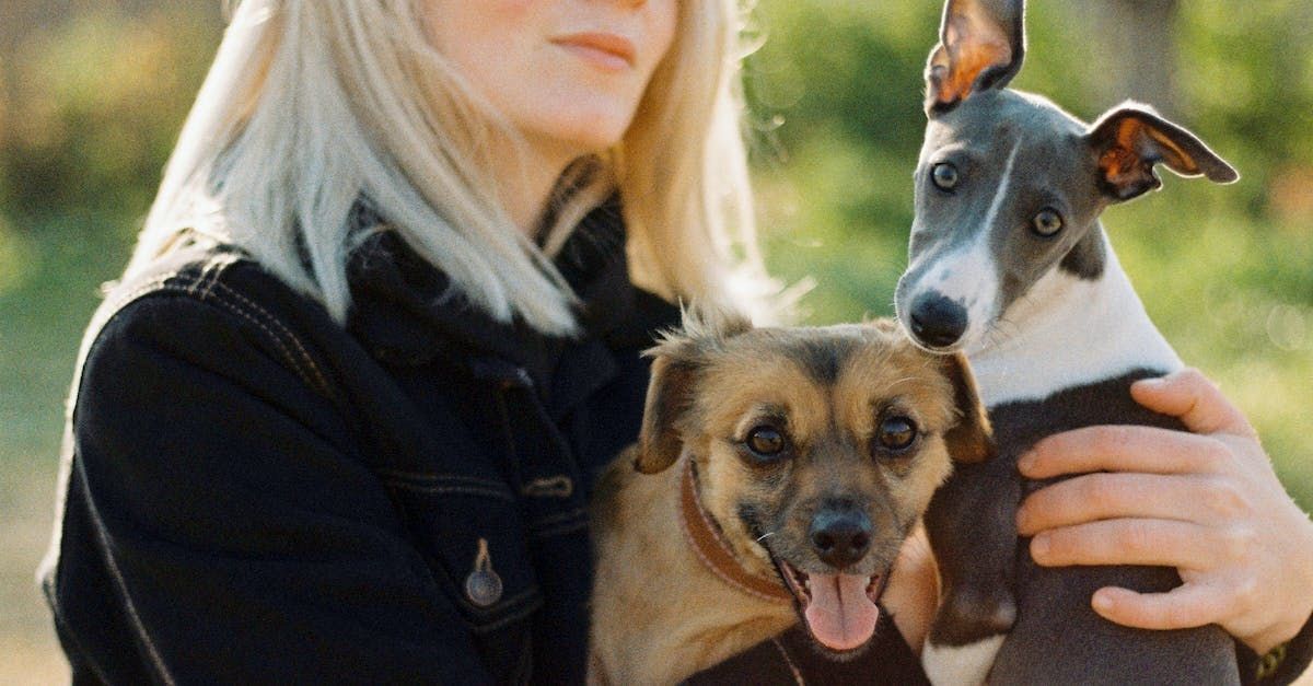 a woman is holding two dogs in her arms .