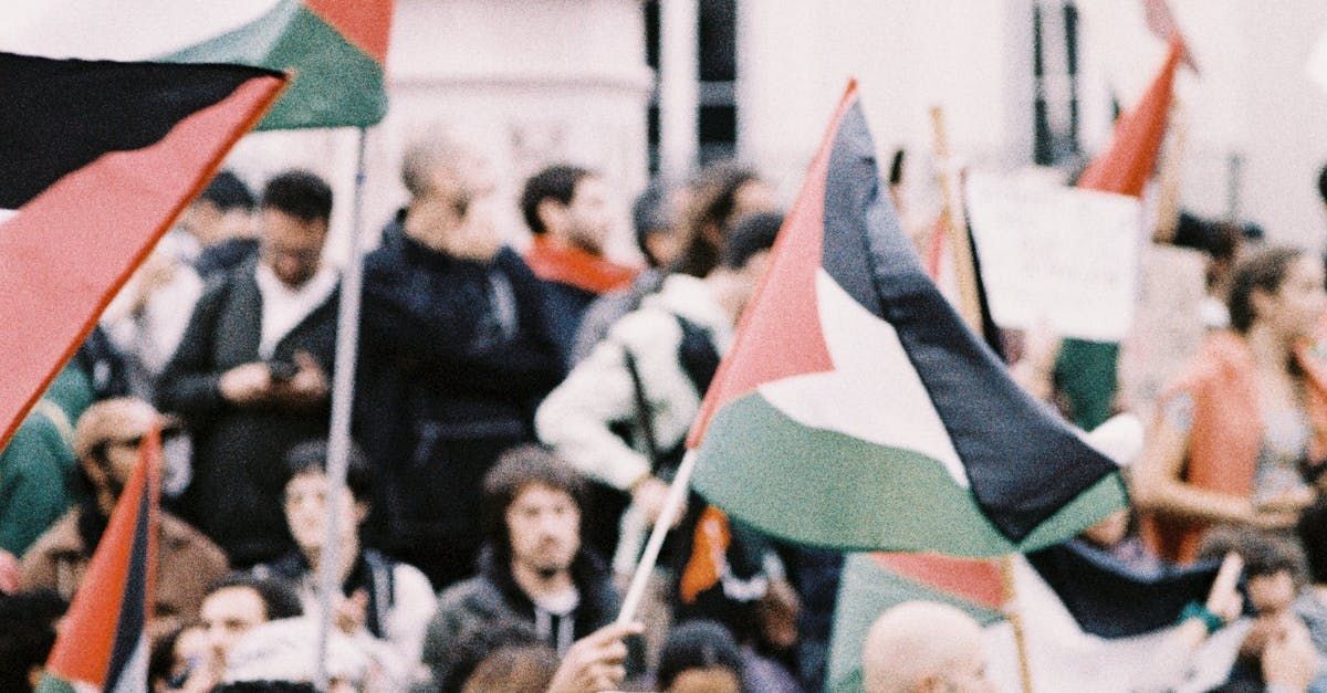 Pro Palestine Protestors