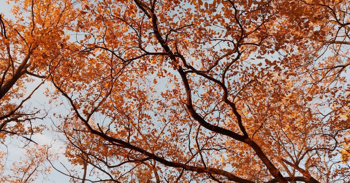 Digital Marketing Near Me, SEO Near Me, Web Design Near Me, Social Media Marketing Near Me, Content Writing Near Me, Google Business Profile Near Me, Website Management Near Me, Social Media Near Me, Social Media Marketing Near Me, Marketing Near Me, Google Expert Near Me, SEO Expert Near Me, Website Expert Near Me, Social Advertising Near Me, Google Ads Near Me, PPC Advertising Near Me, SEO Content Near Me, SEO Content Writing Near Me, Graphic Design Near Me, Logo Design Near Me, Local SEO Services Near Me, Digital Advertising Near Me, Online Marketing Near Me, Content Marketing Near Me, Local Business Marketing Near Me, Social Media Management Near Me, Search Engine Marketing Near Me, Online Branding Near Me, Web Development Services Near Me, E-commerce Marketing Near Me, Email Marketing Services Near Me, Mobile Marketing Near Me, Video Marketing Near Me, Reputation Management Near Me, Local Search Optimization Near Me, Premier Web Development Agency Near Me, Top Web Design Specialists Near Me, Exclusive Web Design Services Near Me, Tailored Web Development Solutions Near Me, Award-Winning Web Designers Near Me, Elite Web Development Consultants Near Me, Cutting-Edge Website Designers Near Me, Bespoke Web Development Studio Near Me, Top-Tier Web Design Experts Near Me, Affordable Web Design Services in Near Me, Local Web Design Experts Near Me, Quick Website Development Solutions Near Me Near Me, Best Small Business Web Designers Near Me, Top Neighborhood Web Development Agency Near Me, Custom Website Design Services for Local Businesses Near Me, Fast and Reliable Website Design Company Nearby Near Me, Community-Centric Web Development Services Near Me, Budget-Friendly Website Design Solutions Near Me, Exclusive Web Development Experts in Near Me, Rapid Web Design Studio for Local Businesses Near Me, Locally Optimized Website Development Services Near Me, Professional Web Design Services Tailored for Near Me, Unique Web Development Solutions Near Me Near Me, Top-Tier Website Design Experts in Near Me, Bespoke Web Design Solutions Near Me, Expert Website Developers Near Me, Custom Web Development Services Near Me, Leading Web Development Firm Near Me, Innovative Website Design Studio Near Me, Custom Illustration and Animation Services Near Me, Visual Identity and Logo Design Near Me, Print Design and Marketing Collateral Near Me, Packaging Design and Labeling Solutions Near Me, User Interface (UI) Design for Web and Mobile Near Me, User Experience (UX) Research and Design Near Me, Infographic Design and Data Visualization Near Me, Icon and Button Design Near Me, Responsive Email Template Design Near Me, Social Media Graphic Design and Branding Near Me, E-commerce Website Development Solutions Near Me, Responsive Mobile Website Design Experts Near Me, SEO-Optimized Web Development Services Near Me, Custom CMS (Content Management System) Integration Near Me, WordPress Web Design and Development Agency Near Me, User-Friendly UI/UX Design Specialists Near Me, Interactive Web Application Development Near Me, Landing Page Design and Optimization Near Me, Website Maintenance and Support Services Near Me, Graphic Design and Branding Solutions Near Me, Web Design Alberta Canada, Web Design Agency Alberta Canada, Web Design Experts Alberta Canada, Web Design Expert Near Me Alberta Canada, Website Design Expert Near Me Alberta Canada, Best Web Design Agency Alberta Canada, Best Web Design Agency Near Me Alberta Canada, Affordable Website Design Alberta Canada, Trusted Website Design Agency Alberta Canada, Website Design Alberta Canada, Responsive Websites Alberta Canada, Website Design Company Alberta Canada, Website Design Company Near Me Alberta Canada, Web Design Near Me, Web Design Agency Near Me, Web Design Experts Near Me, Web Design Expert Near Me Near Me, Website Design Expert Near Me Near Me, Best Web Design Agency Near Me, Best Web Design Agency Near Me Near Me, Affordable Website Design Near Me, Trusted Website Design Agency Near Me, Website Design Near Me, Responsive Websites Near Me, Website Design Company Near Me, Website Design Company Near Me Near Me, Website Design Near Me, Website Freelancer Near Me, Web Design Near Me, Edmonton web design, Edmonton SEO services, Web design services Edmonton, SEO optimization Edmonton, Google Ads Edmonton, Automotive & Transportation website design, Healthcare & Dental website design, Gyms & Fitness Brands web design, Best web design company in Edmonton, Professional web design services, Custom web design Edmonton, SEO optimized web design, Mobile responsive web design, Edmonton web design agency, Fairway web design company, Fairway web design Edmonton, Web design Spruce Grove, Elite Digital Marketing, Dallas Scarlett, Web Design Edmonton, Top Web Design Edmonton, Best Web Design Edmonton, Affordable Web Design Edmonton, Website Design Near Me, Website Design Edmonton, Best Website Design Edmonton, Best Website Management Edmonton, Top Website Management Edmonton, Top Website Design Edmonton, Top Website Designer Near Me, Best Website Designer Near me, web design near, website design near, website audit near, website audit near me, website seo audit near me, website development near me, small business website design, Web Design Near Me, Web Design Agency Near Me, Web Design Experts Near Me, Web Design Expert Near Me Near Me, Website Design Expert Near Me Near Me, Best Web Design Agency Near Me, Best Web Design Agency Near Me Near Me, Affordable Website Design Near Me, Trusted Website Design Agency Near Me, Website Design Near Me, Responsive Websites Near Me, Website Design Company Near Me, Website Design Company Near Me Near Me, Website Design Near Me, Website Freelancer Near Me, Web Design Near Me, Edmonton web design, Edmonton SEO services, Web design services Edmonton, SEO optimization Edmonton, Google Ads Edmonton, Automotive & Transportation website design, Healthcare & Dental website design, Gyms & Fitness Brands web design, Best web design company in Edmonton, Professional web design services, Custom web design Edmonton, SEO optimized web design, Mobile responsive web design, Edmonton web design agency, Fairway web design company, Fairway web design Edmonton, Web design Spruce Grove, App development Spruce Grove, Software development Spruce Grove, Digital marketing Spruce Grove, Logo design Spruce Grove, SEO management Spruce Grove, Social media management Spruce Grove, IBM support Spruce Grove, Managed IT solutions Spruce Grove, Domain services Spruce Grove, Digital Marketing Near Me, Digital Marketing Expert Near Me, Near Me, Marketing Near Me, Top Marketing Agency Near Me, Top Marketing Expert Near Me, Best Marketing Expert Near Me, Marketing Automation Near Me, Google Support Near Me, Google Expert Near Me, Google Help Near Me, Social Media Optimization Near Me, Online Branding Near Me, Web Development Services Near Me, E-commerce Marketing Near Me, Email Marketing Services Near Me, Mobile Marketing Near Me, Video Marketing Near Me, Reputation Management Near Me, Local Search Optimization Near Me, Premier Web Development Agency Near Me, Top Web Design Specialists Near Me, Exclusive Web Design Services Near Me, Tailored Web Development Solutions Near Me, Award-Winning Web Designers Near Me, Elite Web Development Consultants Near Me, Cutting-Edge Website Designers Near Me, Bespoke Web Development Studio Near Me, Top-Tier Web Design Experts Near Me, Affordable Web Design Services in Near Me, Local Web Design Experts Near Me, Quick Website Development Solutions Near Me Near Me, Best Small Business Web Designers Near Me, Top Neighborhood Web Development Agency Near Me, Custom Website Design Services for Local Businesses Near Me, Fast and Reliable Website Design Company Nearby Near Me, Community-Centric Web Development Services Near Me, Budget-Friendly Website Design Solutions Near Me, Exclusive Web Development Experts in Near Me, Rapid Web Design Studio for Local Businesses Near Me, Locally Optimized Website Development Services Near Me, Professional Web Design Services Tailored for Near Me, Unique Web Development Solutions Near Me Near Me, Top-Tier Website Design Experts in Near Me, Bespoke Web Design Solutions Near Me, Expert Website Developers Near Me, Custom Web Development Services Near Me, Leading Web Development Firm Near Me, Innovative Website Design Studio Near Me, Custom Illustration and Animation Services Near Me, Visual Identity and Logo Design Near Me, Print Design and Marketing Collateral Near Me, Packaging Design and Labeling Solutions Near Me, User Interface (UI) Design for Web and Mobile Near Me, User Experience (UX) Research and Design Near Me, Infographic Design and Data Visualization Near Me, Icon and Button Design Near Me, Responsive Email Template Design Near Me, Social Media Graphic Design and Branding Near Me, E-commerce Website Development Solutions Near Me, Responsive Mobile Website Design Experts Near Me, SEO-Optimized Web Development Services Near Me, Custom CMS (Content Management System) Integration Near Me, WordPress Web Design and Development Agency Near Me, User-Friendly UI/UX Design Specialists Near Me, Interactive Web Application Development Near Me, Landing Page Design and Optimization Near Me, Website Maintenance and Support Services Near Me, Graphic Design and Branding Solutions Near Me, Web Design Alberta Canada, Web Design Agency Alberta Canada, Web Design Experts Alberta Canada, Web Design Expert Near Me Alberta Canada, Website Design Expert Near Me Alberta Canada, Best Web Design Agency Alberta Canada, Best Web Design Agency Near Me Alberta Canada, Affordable Website Design Alberta Canada, Trusted Website Design Agency Alberta Canada, Website Design Alberta Canada, Responsive Websites Alberta Canada, Website Design Company Alberta Canada, Website Design Company Near Me Alberta Canada,E-commerce SEO Solutions for Online Businesses Near Me,Healthcare SEO Strategies for Clinics and Hospitals Near Me,Technology SEO Services for Tech Startups Near Me,Legal SEO Consultants for Legal Firms Near Me,Hospitality SEO Marketing for Hotels and Restaurants Near Me,Real Estate SEO Solutions for Property Management Near Me,Financial Services SEO Specialists for Financial Institutions Near Me,Education SEO Marketing for Educational Institutions Near Me,Automotive SEO Strategies for Car Dealers Near Me,Fashion and Apparel SEO Experts for Fashion Brands Near Me,Effective E-commerce SEO Solutions for Online Businesses Near Me,Advanced Healthcare SEO Strategies for Clinics and Hospitals Near Me,Comprehensive Technology SEO Services for Tech Startups Near Me,Specialized Legal SEO Consultants for Legal Firms Near Me,Tailored Hospitality SEO Marketing for Hotels and Restaurants Near Me,Customized Real Estate SEO Solutions for Property Management Near Me,Strategic Financial Services SEO Specialists for Financial Institutions Near Me,Innovative Education SEO Marketing for Educational Institutions Near Me,Targeted Automotive SEO Strategies for Car Dealers Near Me,Dynamic Fashion and Apparel SEO Experts for Fashion Brands Near Me,E-commerce SEO specialists for online stores Near Me,Healthcare SEO experts for medical practices Near Me,Technology SEO consultants for software companies Near Me,Legal SEO services for law firms Near Me,Hospitality SEO professionals for hotels and restaurants Near Me,Real Estate SEO agency for property websites Near Me,Financial Services SEO experts for banking and finance Near Me,Education SEO specialists for schools and universities Near Me,Automotive SEO consultants for car dealerships Near Me,Fashion and Apparel SEO services for online retailers Near Me, Local Website Design Experts Near Me, Affordable Web Development Services Near Me Near Me, Quick Website Design Solutions Near Me, Small Business Web Design Specialists Near Me, Neighborhood Web Development Firm Near Me, Local Web Design and Development Services Near Me, Fast Website Design Company Nearby Near Me, Community-Focused Web Development Agency Near Me, Easy-to-Rank Website Designers Near Me, Quick Web Development Solutions Near Me, Local Web Design Consultants Near Me, Budget-Friendly Website Design Services Near Me, Nearby Web Development Experts Near Me, Rapid Web Design Studio Near Me, Locally Optimized Web Development Solutions Near Me, Bespoke Web Design Solutions Near Me, Expert Website Developers Near Me, Custom Web Development Services Near Me, Leading Web Development Firm Near Me, Innovative Website Design Studio Near Me, Creative Web Development Solutions Near Me, Premier Web Development Agency Near Me, Top Web Design Specialists Near Me, Exclusive Web Design Services Near Me, Tailored Web Development Solutions Near Me, Award-Winning Web Designers Near Me, Elite Web Development Consultants Near Me, Cutting-Edge Website Designers Near Me, Bespoke Web Development Studio Near Me, Top-Tier Web Design Experts Near Me, Affordable Web Design Services in Near Me, Local Web Design Experts Near Me, Quick Website Development Solutions Near Me Near Me, Best Small Business Web Designers Near Me, Top Neighborhood Web Development Agency Near Me, Custom Website Design Services for Local Businesses Near Me, Fast and Reliable Website Design Company Nearby Near Me, Community-Centric Web Development Services Near Me, Budget-Friendly Website Design Solutions Near Me, Exclusive Web Development Experts in Near Me, Rapid Web Design Studio for Local Businesses Near Me, Locally Optimized Website Development Services Near Me, Professional Web Design Services Tailored for Near Me, Unique Web Development Solutions Near Me Near Me, Top-Tier Website Design Experts in Near Me, Bespoke Web Design Solutions Near Me, Expert Website Developers Near Me, Custom Web Development Services Near Me, Leading Web Development Firm Near Me, Innovative Website Design Studio Near Me, Custom Illustration and Animation Services Near Me, Visual Identity and Logo Design Near Me, Print Design and Marketing Collateral Near Me, Packaging Design and Labeling Solutions Near Me, User Interface (UI) Design for Web and Mobile Near Me, User Experience (UX) Research and Design Near Me, Infographic Design and Data Visualization Near Me, Icon and Button Design Near Me, Responsive Email Template Design Near Me, Social Media Graphic Design and Branding Near Me, E-commerce Website Development Solutions Near Me, Responsive Mobile Website Design Experts Near Me, SEO-Optimized Web Development Services Near Me, Custom CMS (Content Management System) Integration Near Me, WordPress Web Design and Development Agency Near Me, User-Friendly UI/UX Design Specialists Near Me, Interactive Web Application Development Near Me, Landing Page Design and Optimization Near Me, Website Maintenance and Support Services Near Me, Graphic Design and Branding Solutions Near Me, Web Design Alberta Canada, Web Design Agency Alberta Canada, Web Design Experts Alberta Canada, Web Design Expert Near Me Alberta Canada, Website Design Expert Near Me Alberta Canada, Best Web Design Agency Alberta Canada, Best Web Design Agency Near Me Alberta Canada, Affordable Website Design Alberta Canada, Trusted Website Design Agency Alberta Canada, Website Design Alberta Canada, Responsive Websites Alberta Canada, Website Design Company Alberta Canada, Website Design Company Near Me Alberta Canada, E-commerce SEO Solutions for Online Businesses Alberta Canada,Healthcare SEO Strategies for Clinics and Hospitals Alberta Canada,Technology SEO Services for Tech Startups Alberta Canada,Legal SEO Consultants for Legal Firms Alberta Canada,Hospitality SEO Marketing for Hotels and Restaurants Alberta Canada,Real Estate SEO Solutions for Property Management Alberta Canada,Financial Services SEO Specialists for Financial Institutions Alberta Canada,Education SEO Marketing for Educational Institutions Alberta Canada,Automotive SEO Strategies for Car Dealers Alberta Canada,Fashion and Apparel SEO Experts for Fashion Brands Alberta Canada,Effective E-commerce SEO Solutions for Online Businesses Alberta Canada,Advanced Healthcare SEO Strategies for Clinics and Hospitals Alberta Canada,Comprehensive Technology SEO Services for Tech Startups Alberta Canada,Specialized Legal SEO Consultants for Legal Firms Alberta Canada,Tailored Hospitality SEO Marketing for Hotels and Restaurants Alberta Canada,Customized Real Estate SEO Solutions for Property Management Alberta Canada,Strategic Financial Services SEO Specialists for Financial Institutions Alberta Canada,Innovative Education SEO Marketing for Educational Institutions Alberta Canada,Targeted Automotive SEO Strategies for Car Dealers Alberta Canada,Dynamic Fashion and Apparel SEO Experts for Fashion Brands Alberta Canada,E-commerce SEO specialists for online stores Alberta Canada,Healthcare SEO experts for medical practices Alberta Canada,Technology SEO consultants for software companies Alberta Canada,Legal SEO services for law firms Alberta Canada,Hospitality SEO professionals for hotels and restaurants Alberta Canada,Real Estate SEO agency for property websites Alberta Canada,Financial Services SEO experts for banking and finance Alberta Canada,Education SEO specialists for schools and universities Alberta Canada,Automotive SEO consultants for car dealerships Alberta Canada,Fashion and Apparel SEO services for online retailers Alberta Canada, Local Website Design Experts Alberta Canada, Affordable Web Development Services Near Me Alberta Canada, Quick Website Design Solutions Alberta Canada, Small Business Web Design Specialists Alberta Canada, Neighborhood Web Development Firm Alberta Canada, Local Web Design and Development Services Alberta Canada, Fast Website Design Company Nearby Alberta Canada, Community-Focused Web Development Agency Alberta Canada, Easy-to-Rank Website Designers Alberta Canada, Quick Web Development Solutions Alberta Canada, Local Web Design Consultants Alberta Canada, Budget-Friendly Website Design Services Alberta Canada, Nearby Web Development Experts Alberta Canada, Rapid Web Design Studio Alberta Canada, Locally Optimized Web Development Solutions Alberta Canada, Bespoke Web Design Solutions Alberta Canada, Expert Website Developers Alberta Canada, Custom Web Development Services Alberta Canada, Leading Web Development Firm Alberta Canada, Innovative Website Design Studio Alberta Canada, Creative Web Development Solutions Alberta Canada, Premier Web Development Agency Alberta Canada, Top Web Design Specialists Alberta Canada, Exclusive Web Design Services Alberta Canada, Tailored Web Development Solutions Alberta Canada, Award-Winning Web Designers Alberta Canada, Elite Web Development Consultants Alberta Canada, Cutting-Edge Website Designers Alberta Canada, Bespoke Web Development Studio Alberta Canada, Top-Tier Web Design Experts Alberta Canada, Affordable Web Design Services in Alberta Canada, Local Web Design Experts Alberta Canada, Quick Website Development Solutions Near Me Alberta Canada, Best Small Business Web Designers Alberta Canada, Top Neighborhood Web Development Agency Alberta Canada, Custom Website Design Services for Local Businesses Alberta Canada, Fast and Reliable Website Design Company Nearby Alberta Canada, Community-Centric Web Development Services Alberta Canada, Budget-Friendly Website Design Solutions Alberta Canada, Exclusive Web Development Experts in Alberta Canada, Rapid Web Design Studio for Local Businesses Alberta Canada, Locally Optimized Website Development Services Alberta Canada, Professional Web Design Services Tailored for Alberta Canada, Unique Web Development Solutions Near Me Alberta Canada, Top-Tier Website Design Experts in Alberta Canada, Bespoke Web Design Solutions Alberta Canada, Expert Website Developers Alberta Canada, Custom Web Development Services Alberta Canada, Leading Web Development Firm Alberta Canada, Innovative Website Design Studio Alberta Canada, Custom Illustration and Animation Services Alberta Canada, Visual Identity and Logo Design Alberta Canada, Print Design and Marketing Collateral Alberta Canada, Packaging Design and Labeling Solutions Alberta Canada, User Interface (UI) Design for Web and Mobile Alberta Canada, User Experience (UX) Research and Design Alberta Canada, Infographic Design and Data Visualization Alberta Canada, Icon and Button Design Alberta Canada, Responsive Email Template Design Alberta Canada, Social Media Graphic Design and Branding Alberta Canada, E-commerce Website Development Solutions Alberta Canada, Responsive Mobile Website Design Experts Alberta Canada, SEO-Optimized Web Development Services Alberta Canada, Custom CMS (Content Management System) Integration Alberta Canada, WordPress Web Design and Development Agency Alberta Canada, User-Friendly UI/UX Design Specialists Alberta Canada, Interactive Web Application Development Alberta Canada, Landing Page Design and Optimization Alberta Canada, Website Maintenance and Support Services Alberta Canada, Graphic Design and Branding Solutions Alberta Canada, Web Design, Web Design Agency, Web Design Experts, Web Design Expert Near Me, Website Design Expert Near Me, Best Web Design Agency, Best Web Design Agency Near Me, Affordable Website Design, Trusted Website Design Agency, Website Design, Responsive Websites, Website Design Company, Website Design Company Near Me, E-commerce SEO Solutions for Online Businesses,Healthcare SEO Strategies for Clinics and Hospitals,Technology SEO Services for Tech Startups,Legal SEO Consultants for Legal Firms,Hospitality SEO Marketing for Hotels and Restaurants,Real Estate SEO Solutions for Property Management,Financial Services SEO Specialists for Financial Institutions,Education SEO Marketing for Educational Institutions,Automotive SEO Strategies for Car Dealers,Fashion and Apparel SEO Experts for Fashion Brands,Effective E-commerce SEO Solutions for Online Businesses,Advanced Healthcare SEO Strategies for Clinics and Hospitals,Comprehensive Technology SEO Services for Tech Startups,Specialized Legal SEO Consultants for Legal Firms,Tailored Hospitality SEO Marketing for Hotels and Restaurants,Customized Real Estate SEO Solutions for Property Management,Strategic Financial Services SEO Specialists for Financial Institutions,Innovative Education SEO Marketing for Educational Institutions,Targeted Automotive SEO Strategies for Car Dealers,Dynamic Fashion and Apparel SEO Experts for Fashion Brands,E-commerce SEO specialists for online stores,Healthcare SEO experts for medical practices,Technology SEO consultants for software companies,Legal SEO services for law firms,Hospitality SEO professionals for hotels and restaurants,Real Estate SEO agency for property websites,Financial Services SEO experts for banking and finance,Education SEO specialists for schools and universities,Automotive SEO consultants for car dealerships,Fashion and Apparel SEO services for online retailers, Local Website Design Experts, Affordable Web Development Services Near Me, Quick Website Design Solutions, Small Business Web Design Specialists, Neighborhood Web Development Firm, Local Web Design and Development Services, Fast Website Design Company Nearby, Community-Focused Web Development Agency, Easy-to-Rank Website Designers, Quick Web Development Solutions, Local Web Design Consultants, Budget-Friendly Website Design Services, Nearby Web Development Experts, Rapid Web Design Studio, Locally Optimized Web Development Solutions, Bespoke Web Design Solutions, Expert Website Developers, Custom Web Development Services, Leading Web Development Firm, Innovative Website Design Studio, Creative Web Development Solutions, Premier Web Development Agency, Top Web Design Specialists, Exclusive Web Design Services, Tailored Web Development Solutions, Award-Winning Web Designers, Elite Web Development Consultants, Cutting-Edge Website Designers, Bespoke Web Development Studio, Top-Tier Web Design Experts, Affordable Web Design Services in, Local Web Design Experts, Quick Website Development Solutions Near Me, Best Small Business Web Designers, Top Neighborhood Web Development Agency, Custom Website Design Services for Local Businesses, Fast and Reliable Website Design Company Nearby, Community-Centric Web Development Services, Budget-Friendly Website Design Solutions, Exclusive Web Development Experts in , Rapid Web Design Studio for Local Businesses, Locally Optimized Website Development Services, Professional Web Design Services Tailored for, Unique Web Development Solutions Near Me, Top-Tier Website Design Experts in , Bespoke Web Design Solutions, Expert Website Developers, Custom Web Development Services, Leading Web Development Firm, Innovative Website Design Studio, Custom Illustration and Animation Services, Visual Identity and Logo Design, Print Design and Marketing Collateral, Packaging Design and Labeling Solutions, User Interface (UI) Design for Web and Mobile, User Experience (UX) Research and Design, Infographic Design and Data Visualization, Icon and Button Design, Responsive Email Template Design, Social Media Graphic Design and Branding, E-commerce Website Development Solutions, Responsive Mobile Website Design Experts, SEO-Optimized Web Development Services, Custom CMS (Content Management System) Integration, WordPress Web Design and Development Agency, User-Friendly UI/UX Design Specialists, Interactive Web Application Development, Landing Page Design and Optimization, Website Maintenance and Support Services,