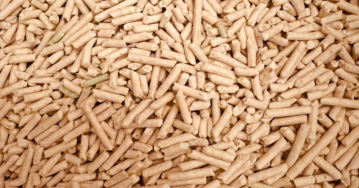 houtkruimels, stoken op hout, wood pellets, Canada, export