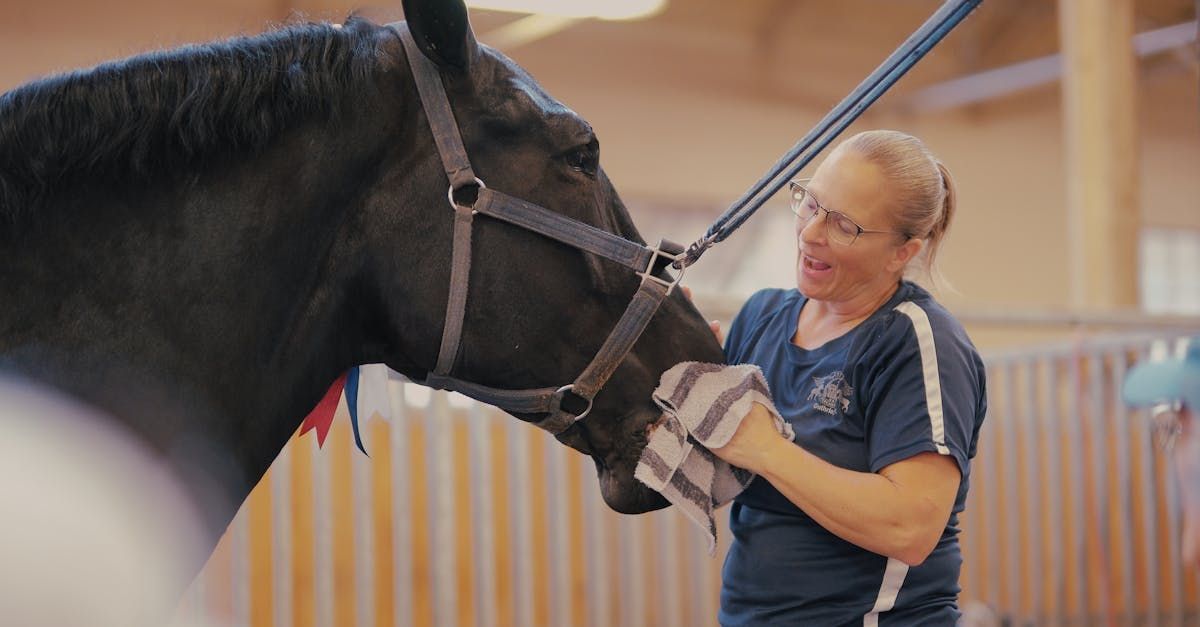 A woman is standing next to a black horse in a stable.