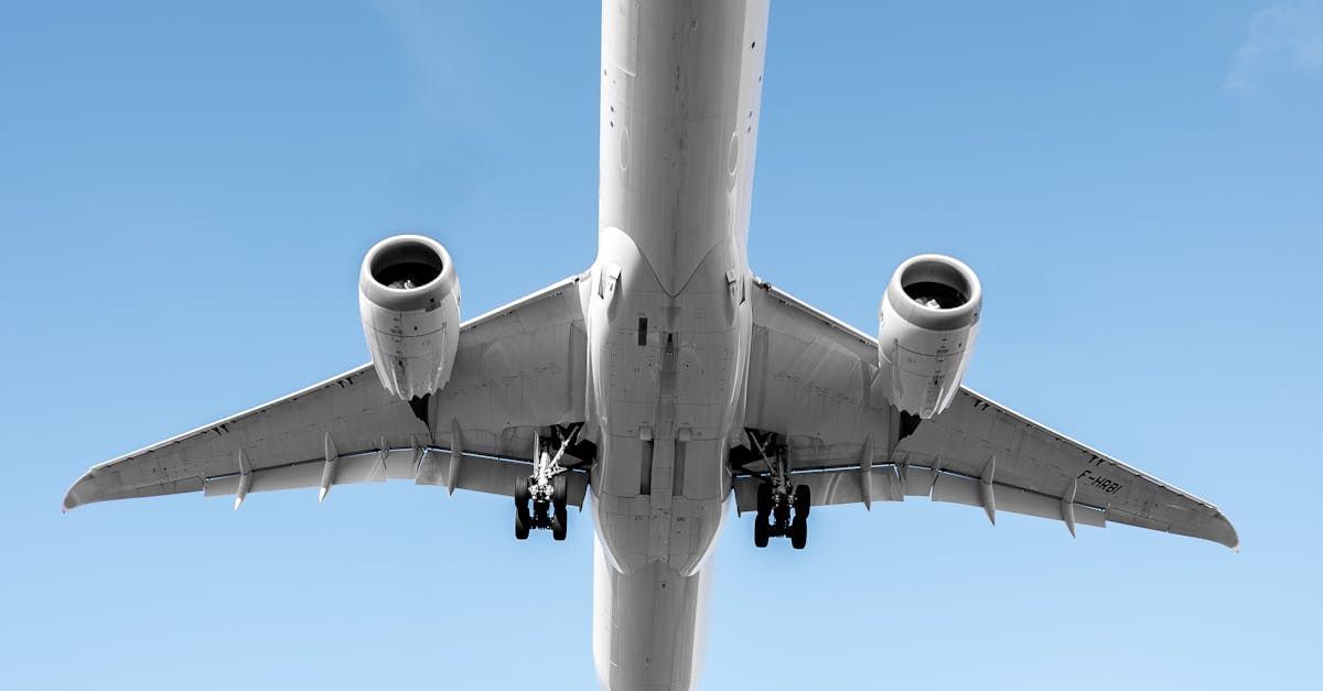 Un gran avión de pasajeros vuela a través de un cielo azul claro.