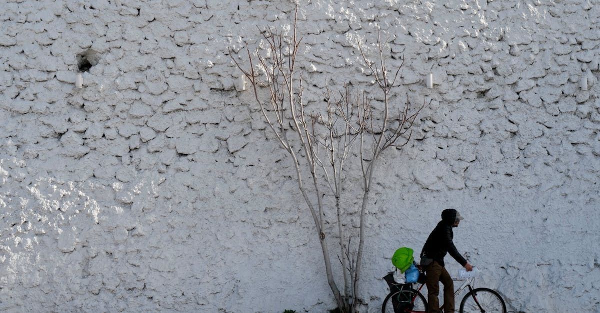A person is riding a bike in the snow next to a tree.