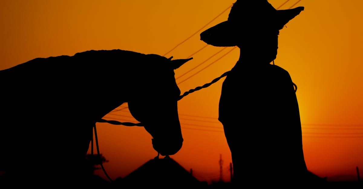 A man in a cowboy hat is standing next to a horse.