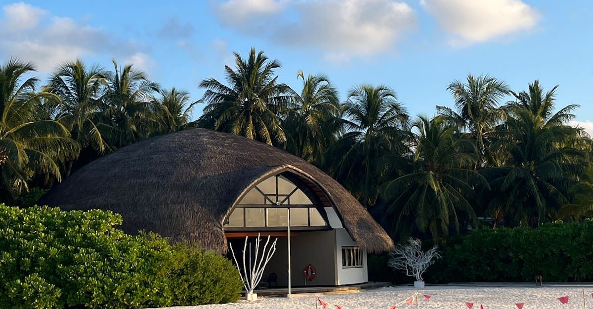 A thatched dome is surrounded by palm trees on a beach.