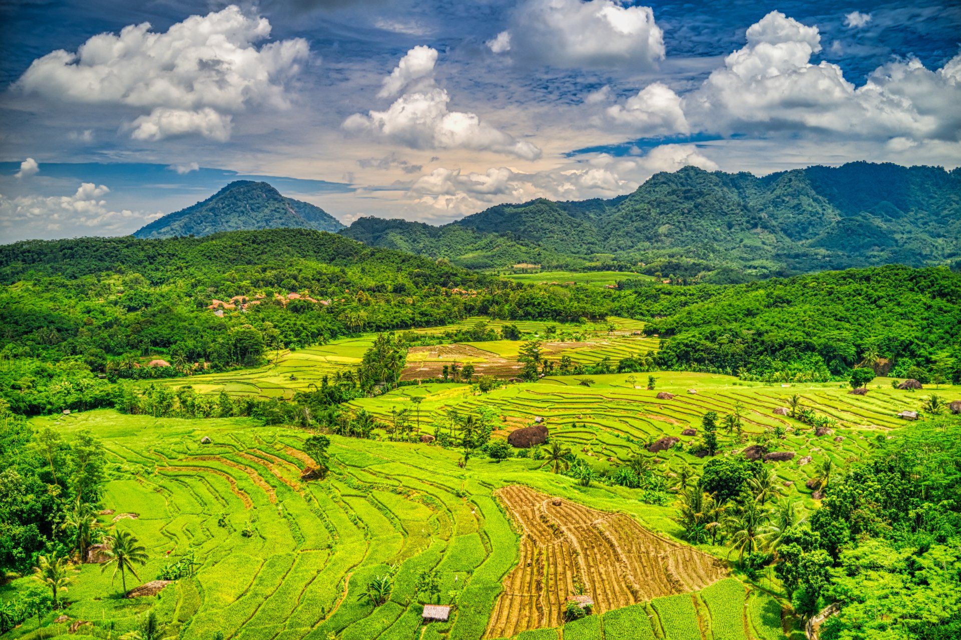 An aerial view of a lush green field with mountains in the background.