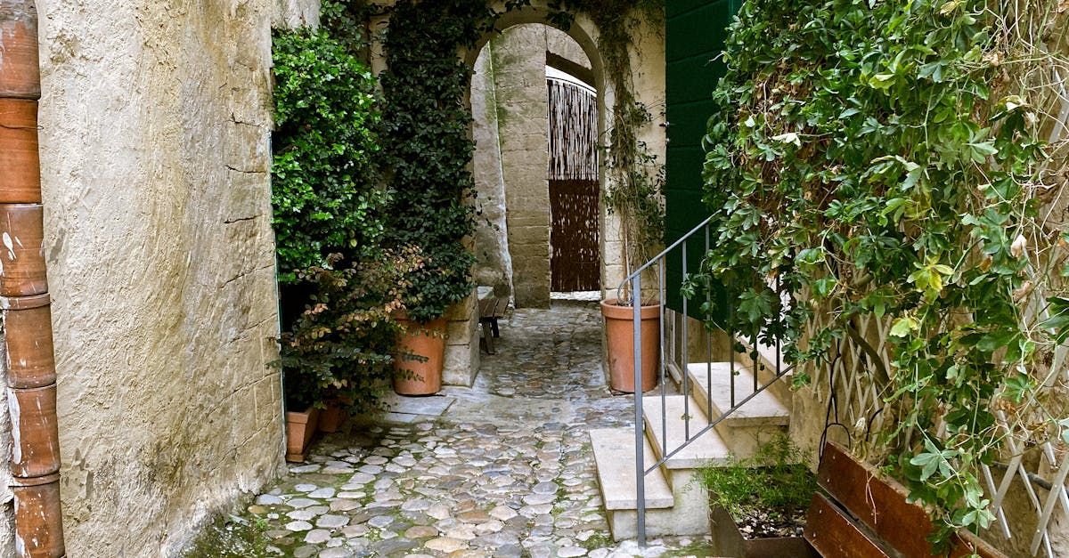 A narrow alleyway between two buildings with potted plants and stairs.