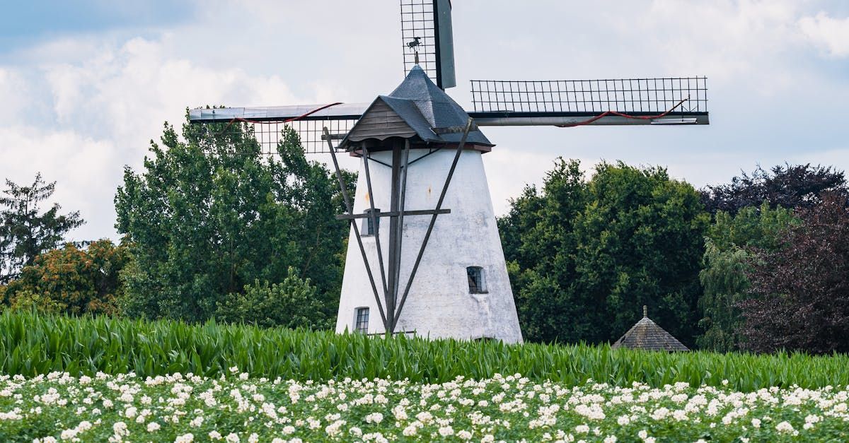 A windmill is sitting in the middle of a field of flowers.