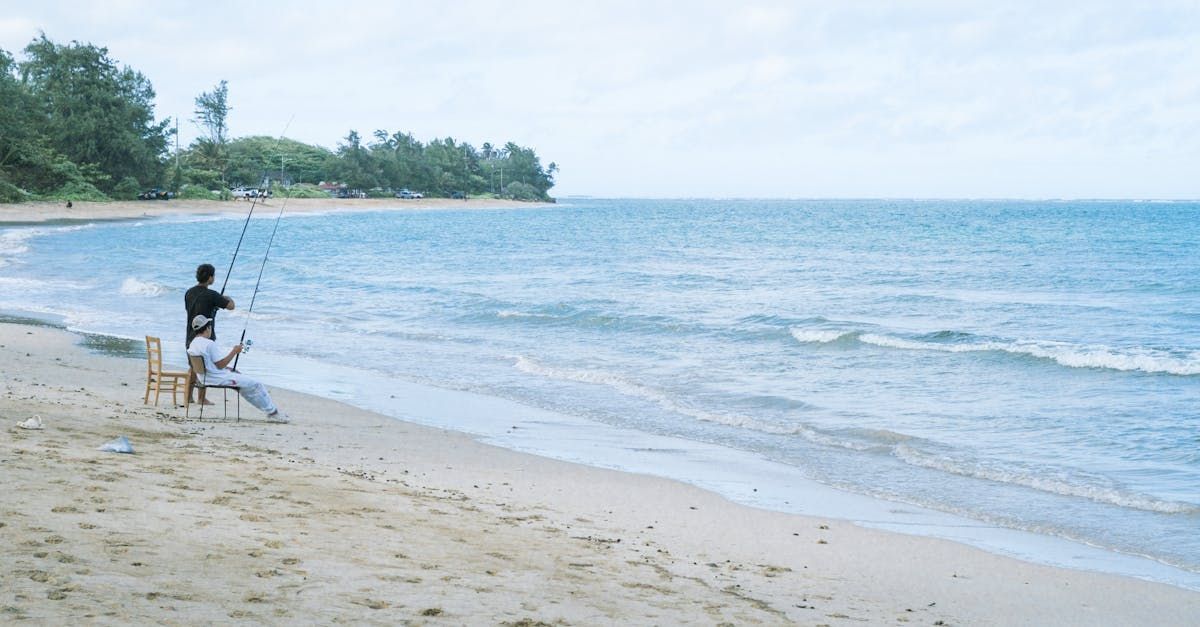 A couple of people are fishing on the beach.